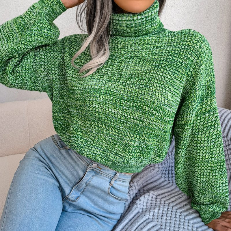 Mixed Color Lantern Sleeve Turtleneck Knit Sweater