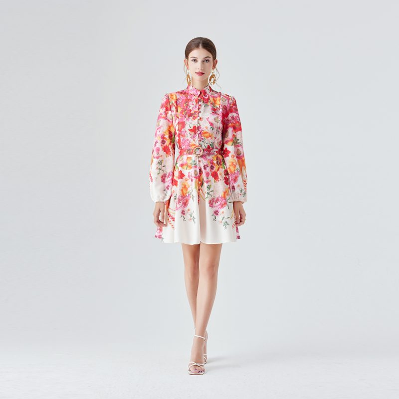 Lantern Sleeve Printed Dress