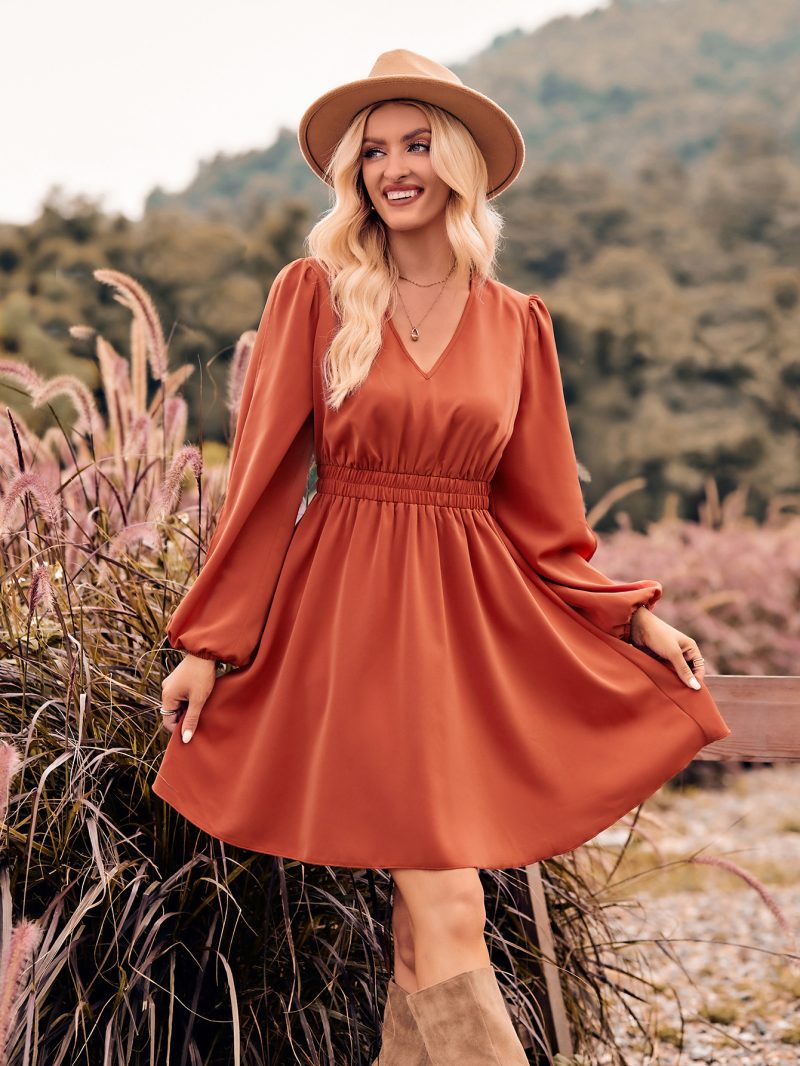 Chic V-Neck Long Sleeve Dress for Autumn